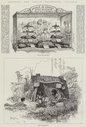Colonial and Indian Exhibition, Victoria